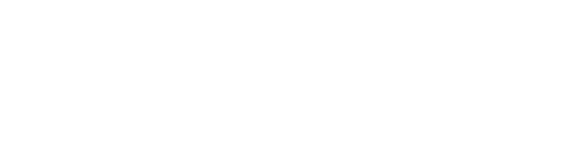 plan obnovy